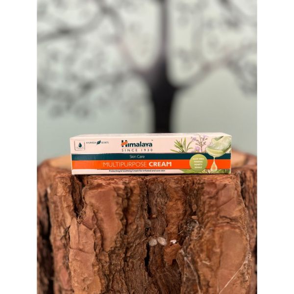 POMADA ANTISEPTICA 20GR