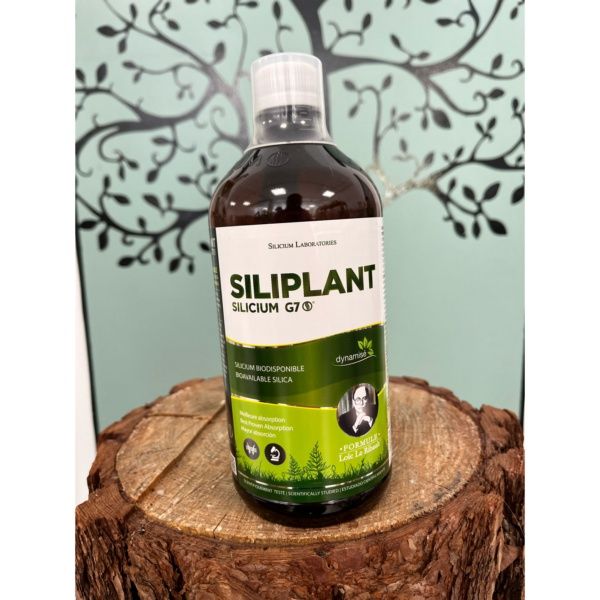 SILIPLANT (silicio G7) liquido 1LT