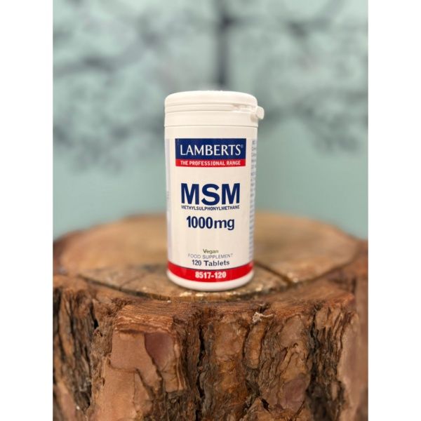 MSM 1000MG 120TAB.